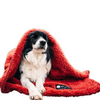 NRDOGS Premium Dog Beds