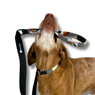 NRDOGS Premium Dog Beds