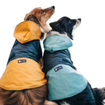 NRDOGS Premium Dog Beds