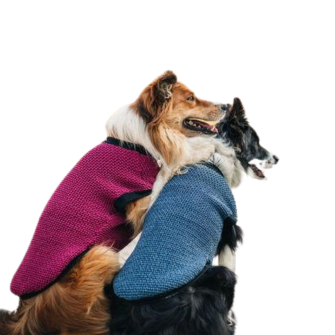 NRDOGS Premium Dog Beds