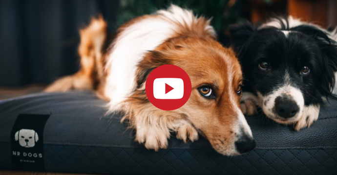 NRDOGS Premium Dog Beds