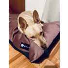  Basic  Soft Magic Pink XL (107x68cm)