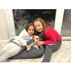 Hide In Tilia Beige L (100x70cm)