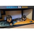  Basic  Soft Magic Ocean L (90x56cm)