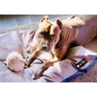  Basic  Soft Magic Pink L (90x56cm)