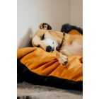  Basic  Soft Magic Okker L (90x56cm)