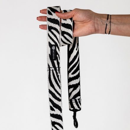 Leash Zebra