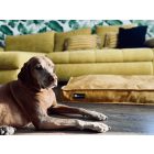 Comfort Soft Magic Okker XL (120x80cm)