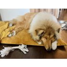  Basic  Soft Magic Okker XL (107x68cm)