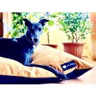  Basic  Soft Magic Okker XL (107x68cm)