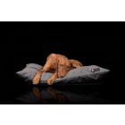  Basic  Soft Magic Grey L (90x56cm)