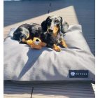  Basic  Soft Magic Grey L (90x56cm)