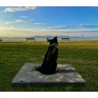 GOMEZ WaterProof Grey XL (120x80cm)