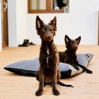  Basic  Soft Magic Grey XL (107x68cm)