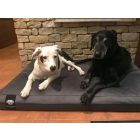 Premium Soft Magic Grey L (100x70cm)