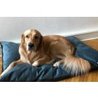  Basic  Soft Magic Ocean XL (107x68cm)