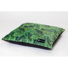  Basic  Soft Magic Jungle