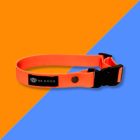 Collar Hexa Orange L (40-65cm)