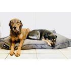 Comfort Soft Magic Grey L (100x70cm)