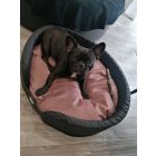 Fringed Soft Magic Pink