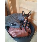 Fringed Soft Magic Pink