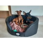 Fringed Soft Magic Pink