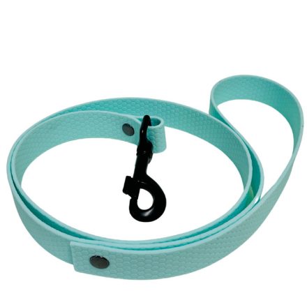 Leash HexaLight Blue