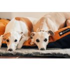  Basic  Soft Magic Okker