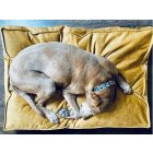 Comfort Soft Magic Okker