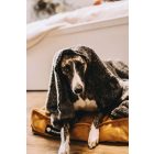 Comfort Soft Magic Okker