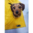 NRDOGS Blanket 100x150cm