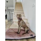  Basic  Soft Magic Pink