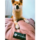  Basic  Soft Magic Pink